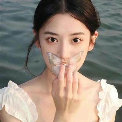 小鸡